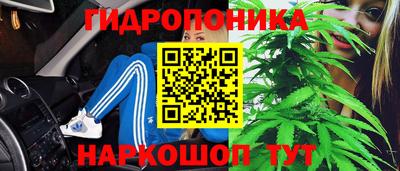 MDMA Premium VHQ Новозыбков