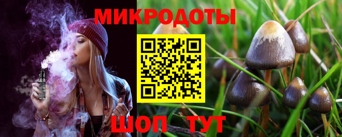 Галлюциногенные грибы Cubensis  Вход с VPN  Светлоград 